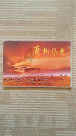 社工证证书编号怎么查游戏画面